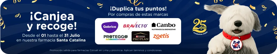 Banner aniversario