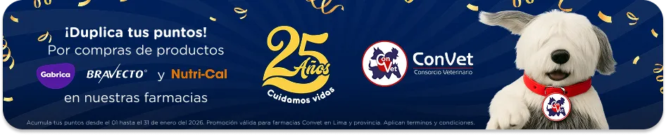 Banner aniversario