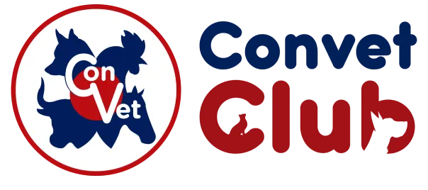 Convet Puntos - Logo